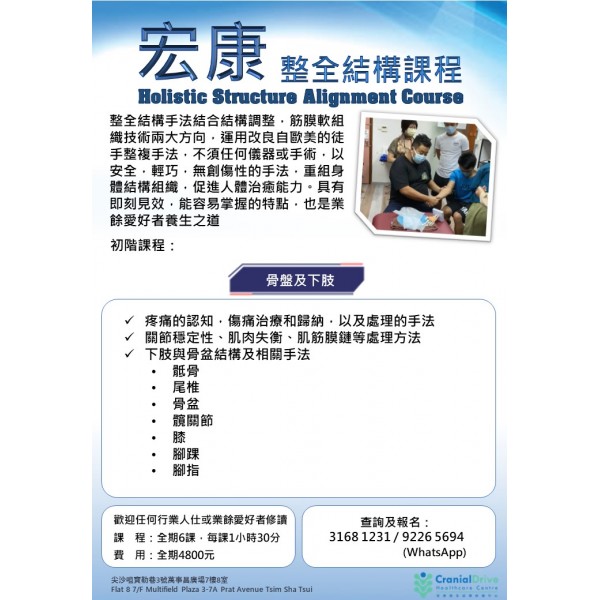 整全結構課程 - 骨盤及下肢 (第三十三期)  **早上班**